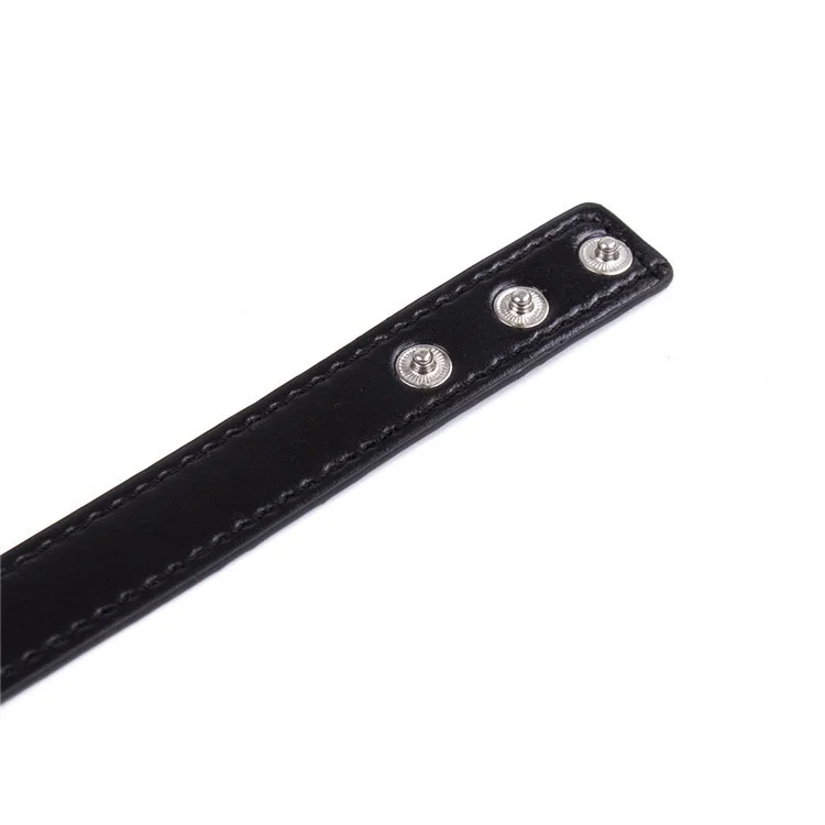 SW-SC020(4)