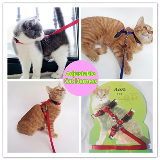 Pet the chest suspenders cat traction rope cat rope cat chain traction