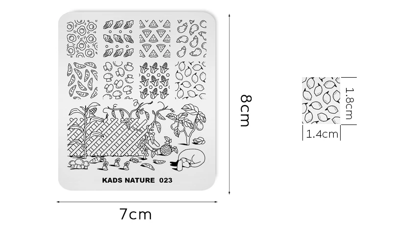 KADS природа 023 шаблон ногтей штамп шаблоны пластина для стемпинга для нейл-арта шаблон изображения инструменты для печати DIY маникюрные трафареты