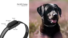 Мини Собака Кошка Pet GPS Tracker Длительным Временем ожидания/IOS/Andriod Приложение Бесплатно Веб-Сайт Службы, с Розничной Упаковке Коробки
