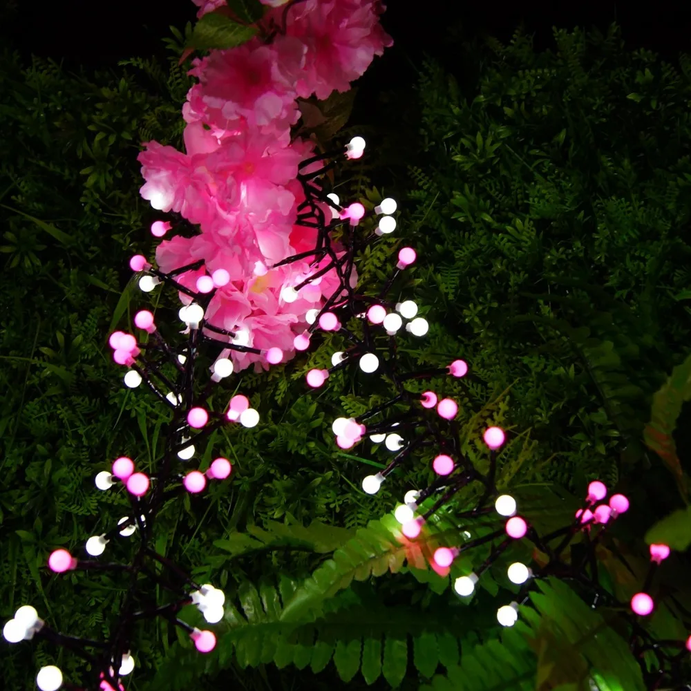 DSC09746