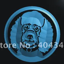 LB681-питомец Пудель Собака светодиодный неоновый знак