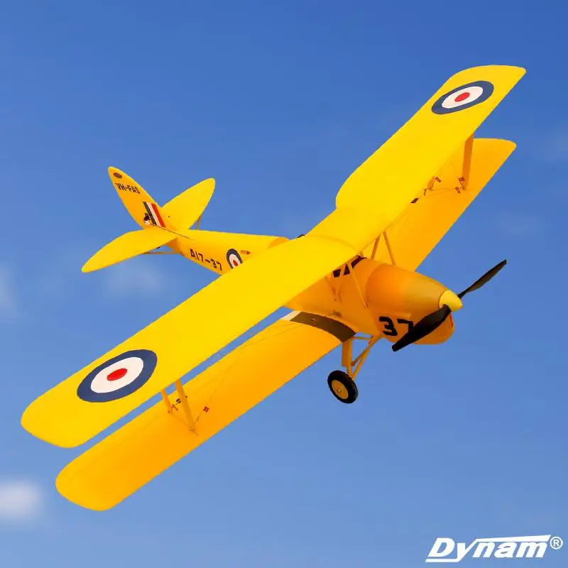 dynam tiger moth