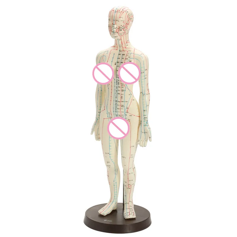 

50cm Women Medical Chinese Medicine Meridians Acupuncture Moxibustion Model Acupuncture Point Mannequin Acupuncture Model