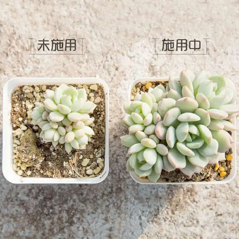 5857255188_443439814