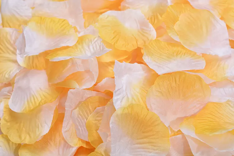 2382-28-10pcs-orange and white-