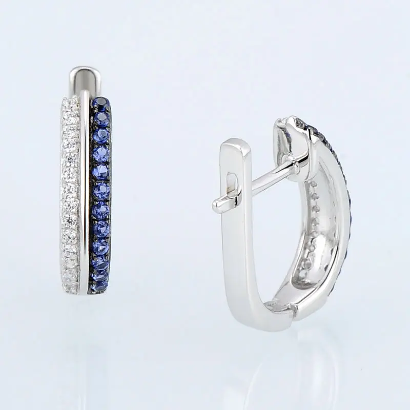 E307179BZZSK925-SV3-Silver Earrings
