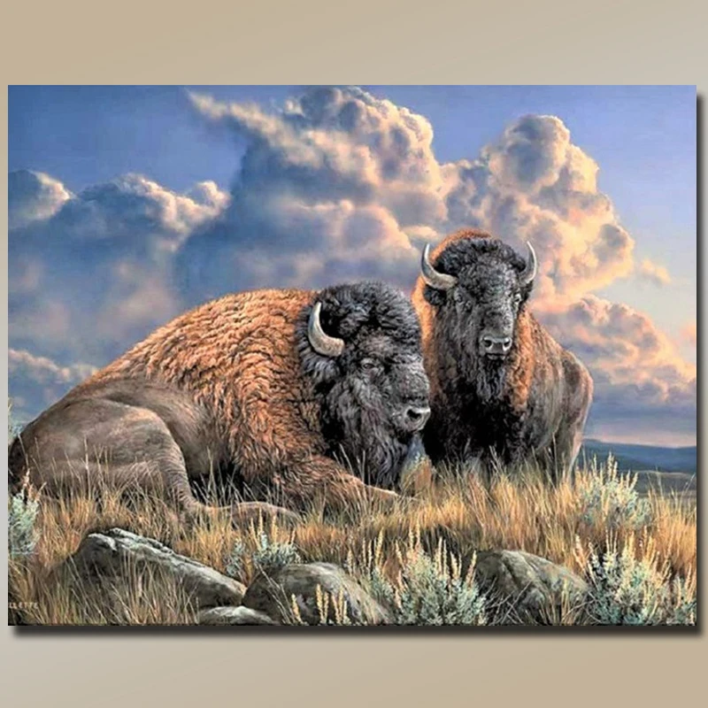 5D алмазная картина из смолы животные луга bison вышивка крестиком полная Алмазная