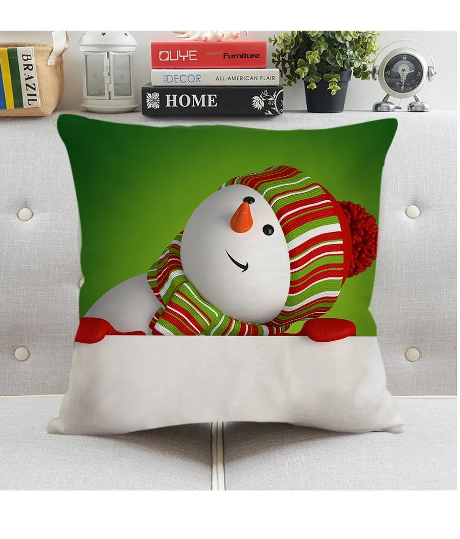 cushion (12)