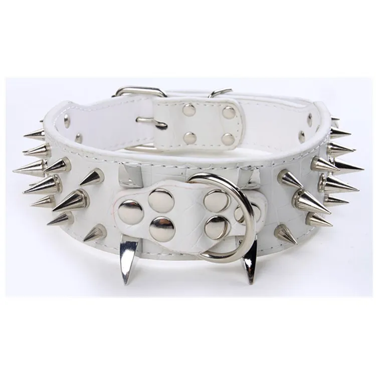 Dog Collars (1)