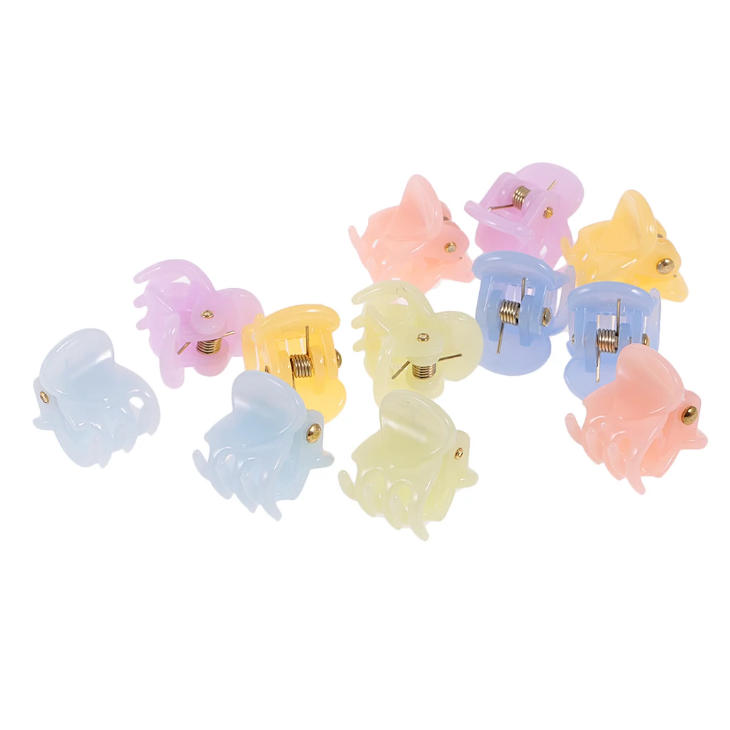 12 Pieces/ Lot Resin Lady Girl Mini Hair Resin Claws Clamps Clips Hair Grips for Holding Hair up and Styling