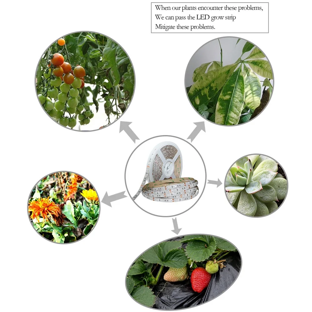 5 м светодиодный водонепроницаемый полный спектр полосы света 300 светодиодный s 5050 Чип Fitolampy растут огни для теплицы гидропоники Растущая