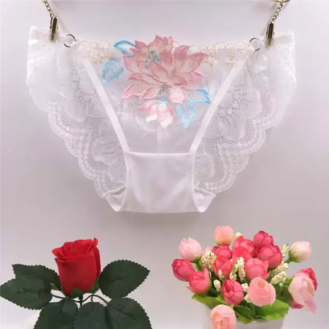 Women Lace Panties Underwear Briefs Low Waist Embroidered Flower Brief