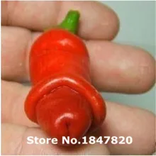`100pcs Chilly Red Hot Peter Pepper seeds chilly seed novelty funny peppers Bonsai plants Vegetable Seeds for home & garden