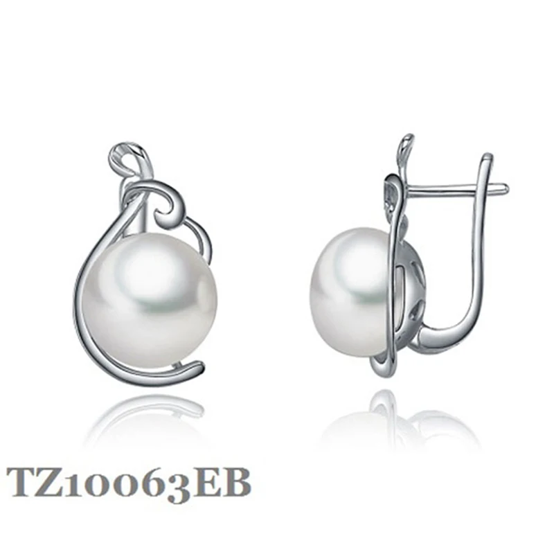 TZ10063EB 2