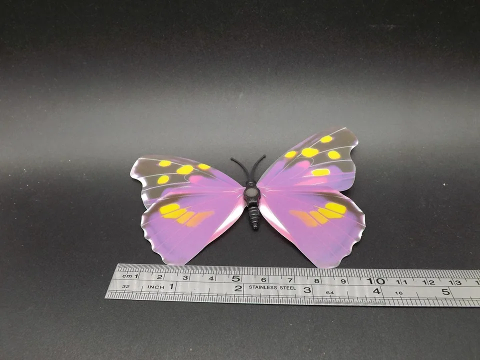 I241-Butterfly (12)