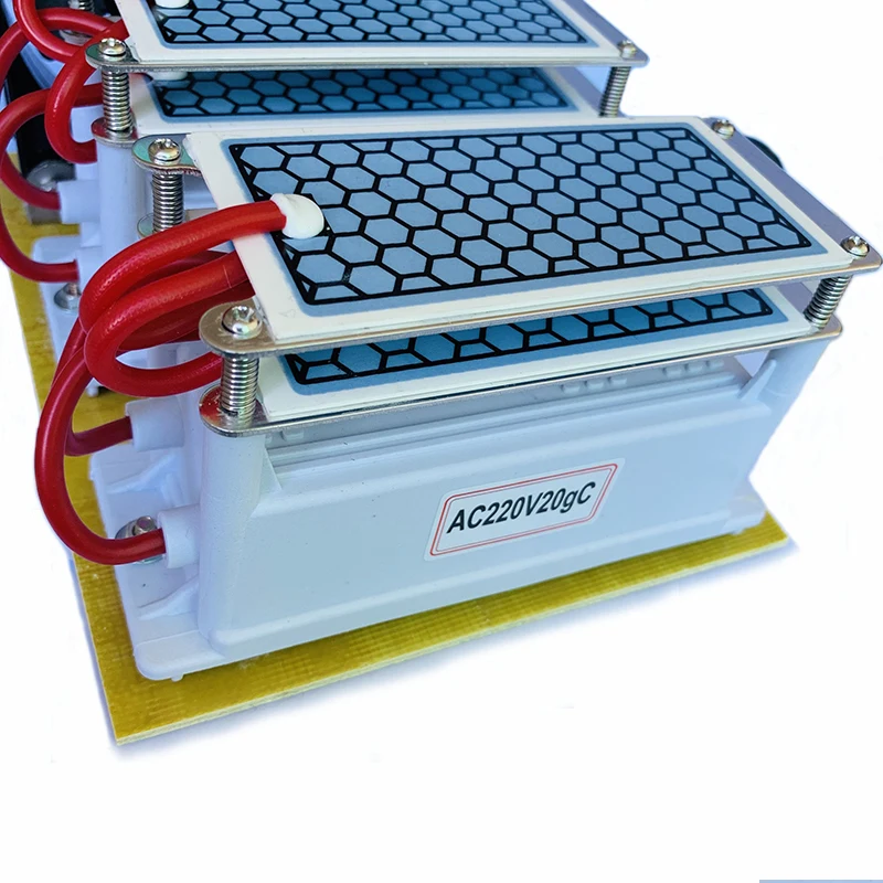 220V/110V 20g Керамика генератор озона двойной Встроенный длинный срок службы