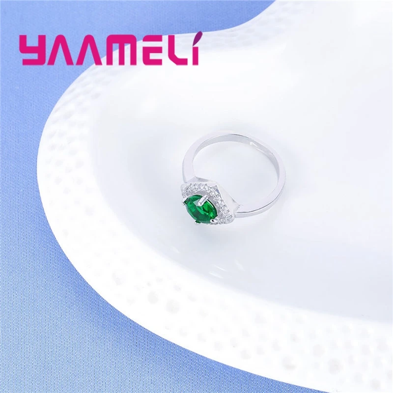 R30100 (6)