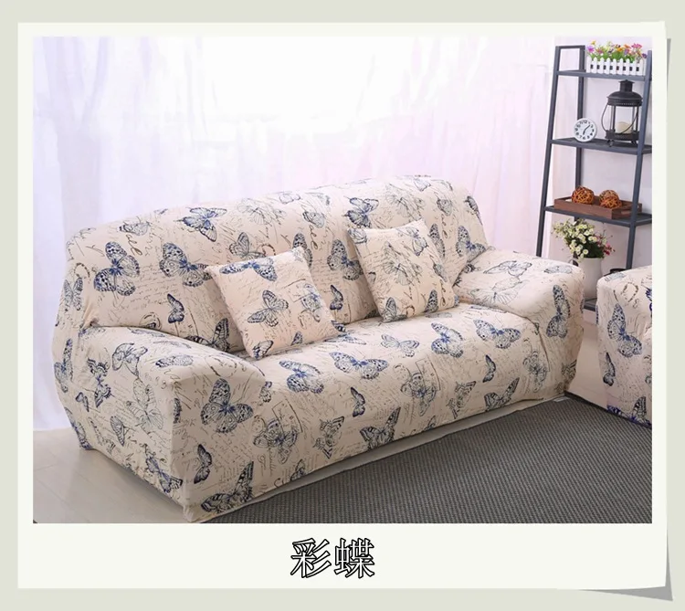 8037657094_212554365