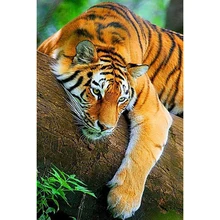 Yi brilhante novo diamante bordado animal tigre 2019 5d pintura diamante praça cheia strass imagem mosaico diamante beadwork