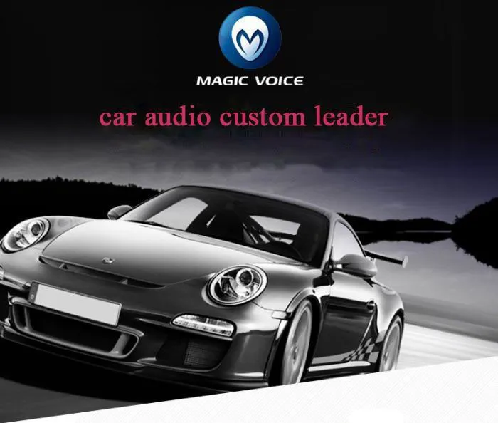 car speaker.jpg