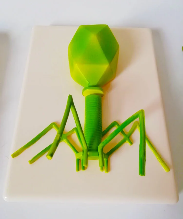 Phage virus model cell submicroscopic structure science and education instrument | Канцтовары для офиса и дома