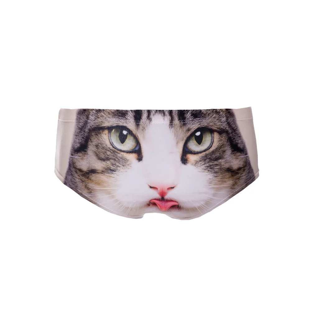 39068 tongue cat (5)