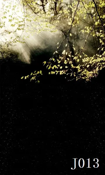 

3*5M Art Cloth Custom Photography Backdrops Prop Nature theme Studio Background J-013