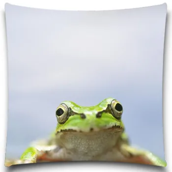 

Frog/Snail/Golden fish Pillow case Creative insect Polyester Square Home Decor Sofa Car Seat Decorative