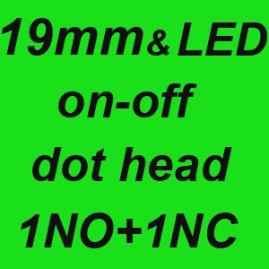19mm 