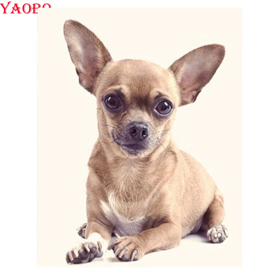 

Full square round drill Diamond embroidery Chihuahua dog pet 5d diy diamond Painting Cross Stitch Mosaic wall sticker decor