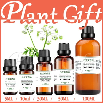 

wholesale!!skin care oil 100% pure plant herbal medicine oils Angelica dahurica Oil Improve migraine Regulate menstruation