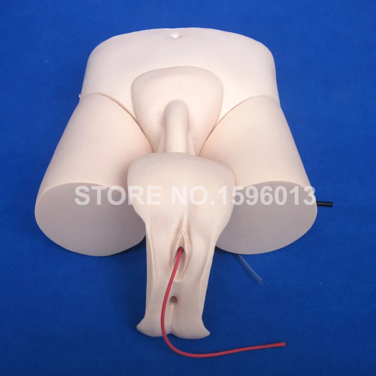 408 catheterization (4)