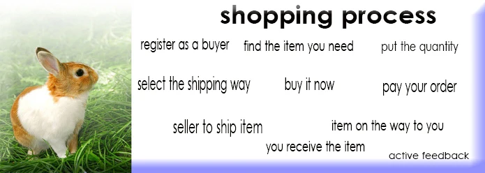 shopping