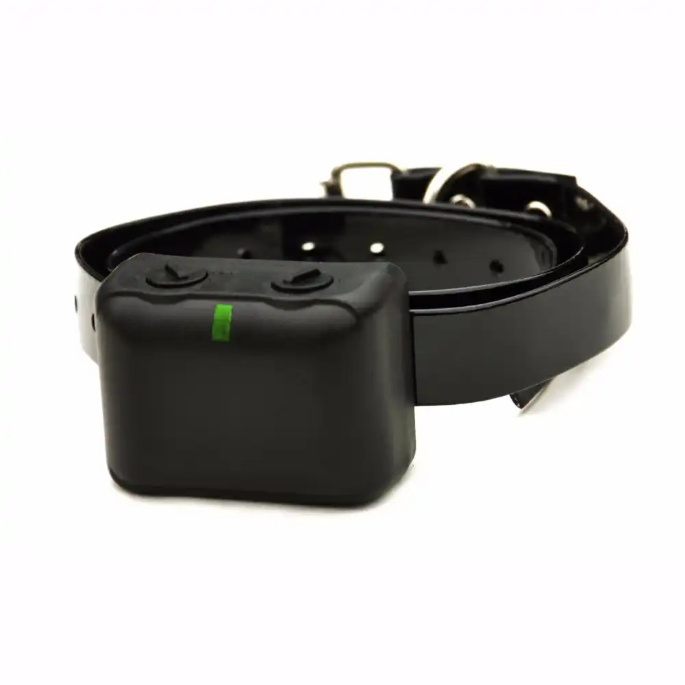 shock collar for humans