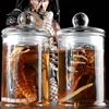 Mnotht 1/6 Solider Scene Model SG001/SG002 Predator Alien Larva Face Bug Culture Tank Set Model  l30 ► Photo 3/5