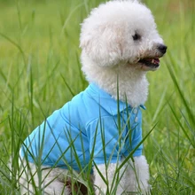 Excessive High quality Cotton Pet Canine Cat POLO T-Shirt Pet Informal Swimsuit Cotton Garments Colourful Sturdy Breathable Cat Pet Canine Garments