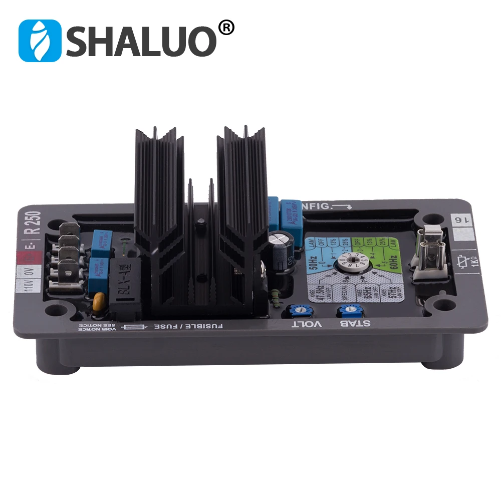 R250 AVR (3)