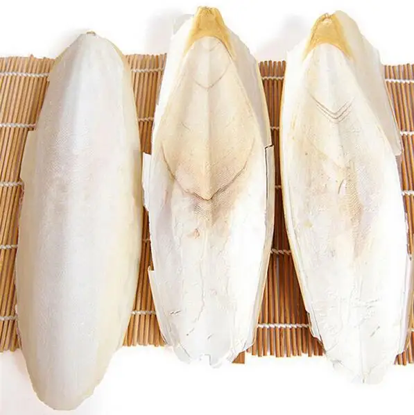 

10PCS/set Cuttlefish Bone Parrot Chew Toy For Pet Budgie Birds Reptiles Tortoise Pet Calcium Health Care Products