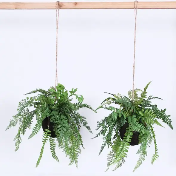 Artificial Plants Plastic Fern Green Leaf Hanging Ball Fern Bonsai