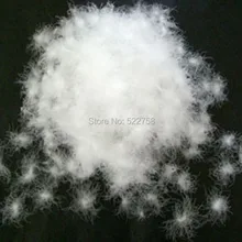 Duvet d'oie 90/10, 1 once, Standard américain 2000, puissance de remplissage 800, livraison gratuite