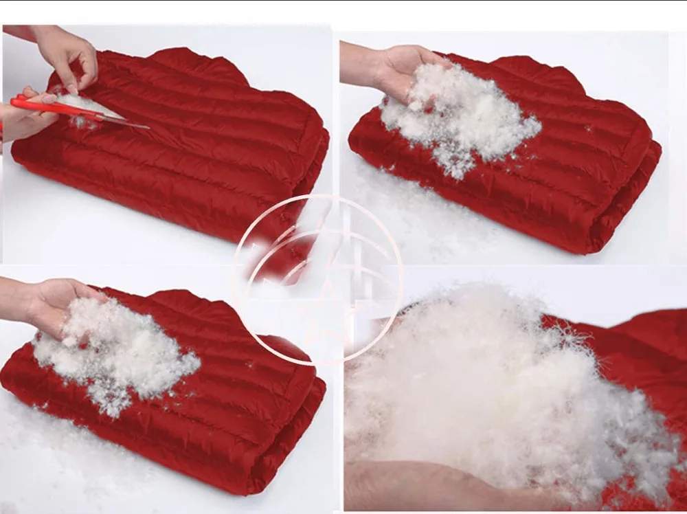 4549060531_1312225097