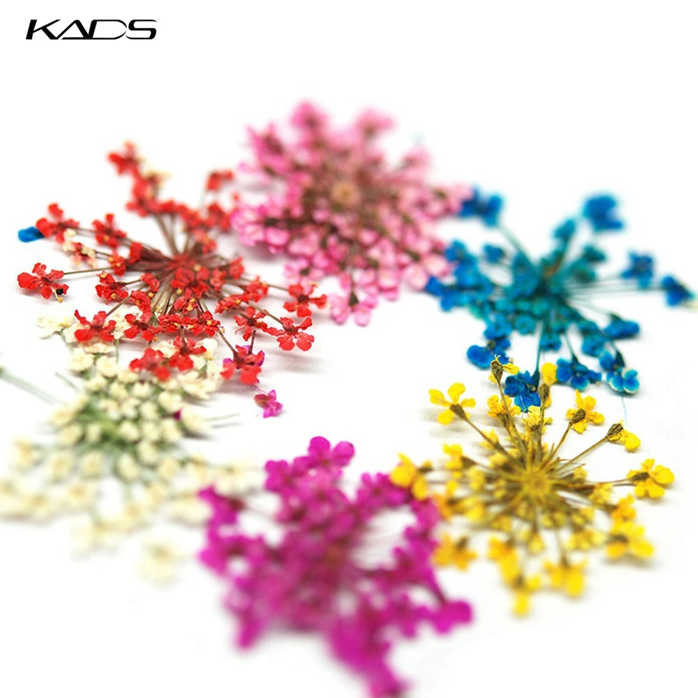 

KADS Nature Beauty Dried Flower Leaf Nail Decoration for Nail Art Manicure Tools Nail Accessories Professional Nail Pretty Tools