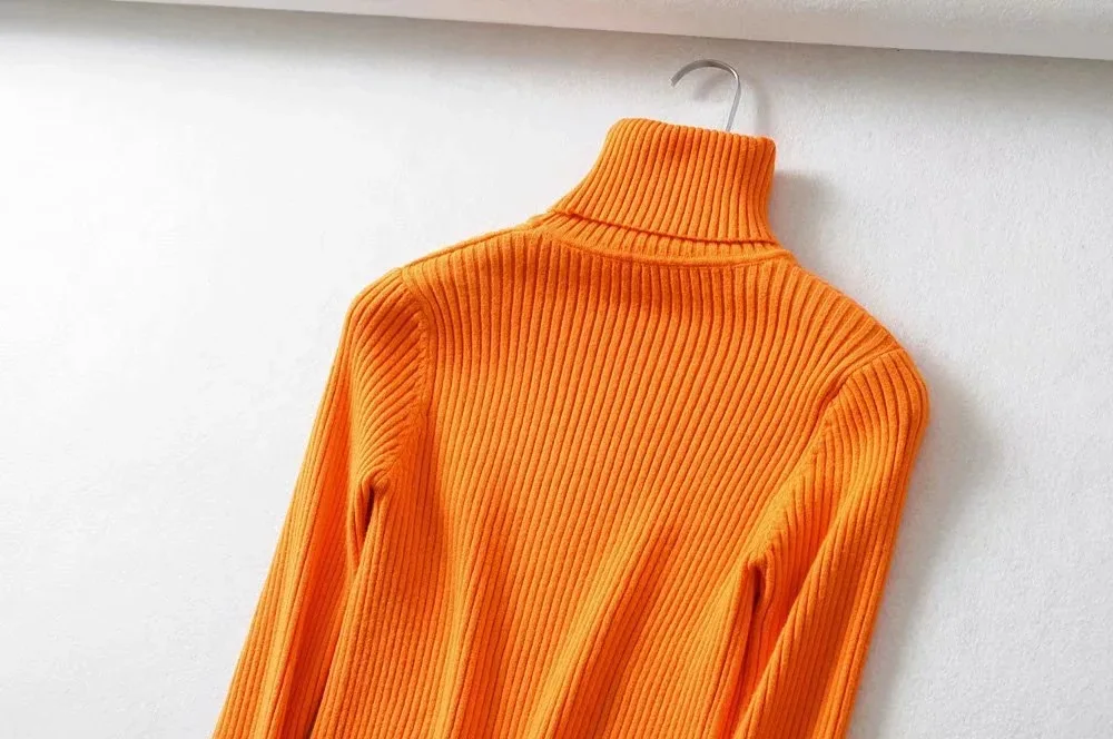 Long sleeved Womens Fall Sweaters turtle neck knitting thin Sweaters Pullovers korean chic casual basic Sweaters streetwear