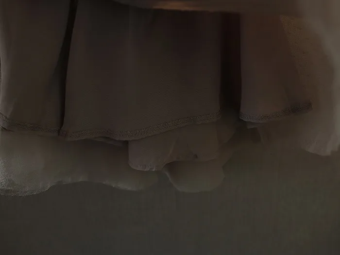 aeProduct.getSubject()