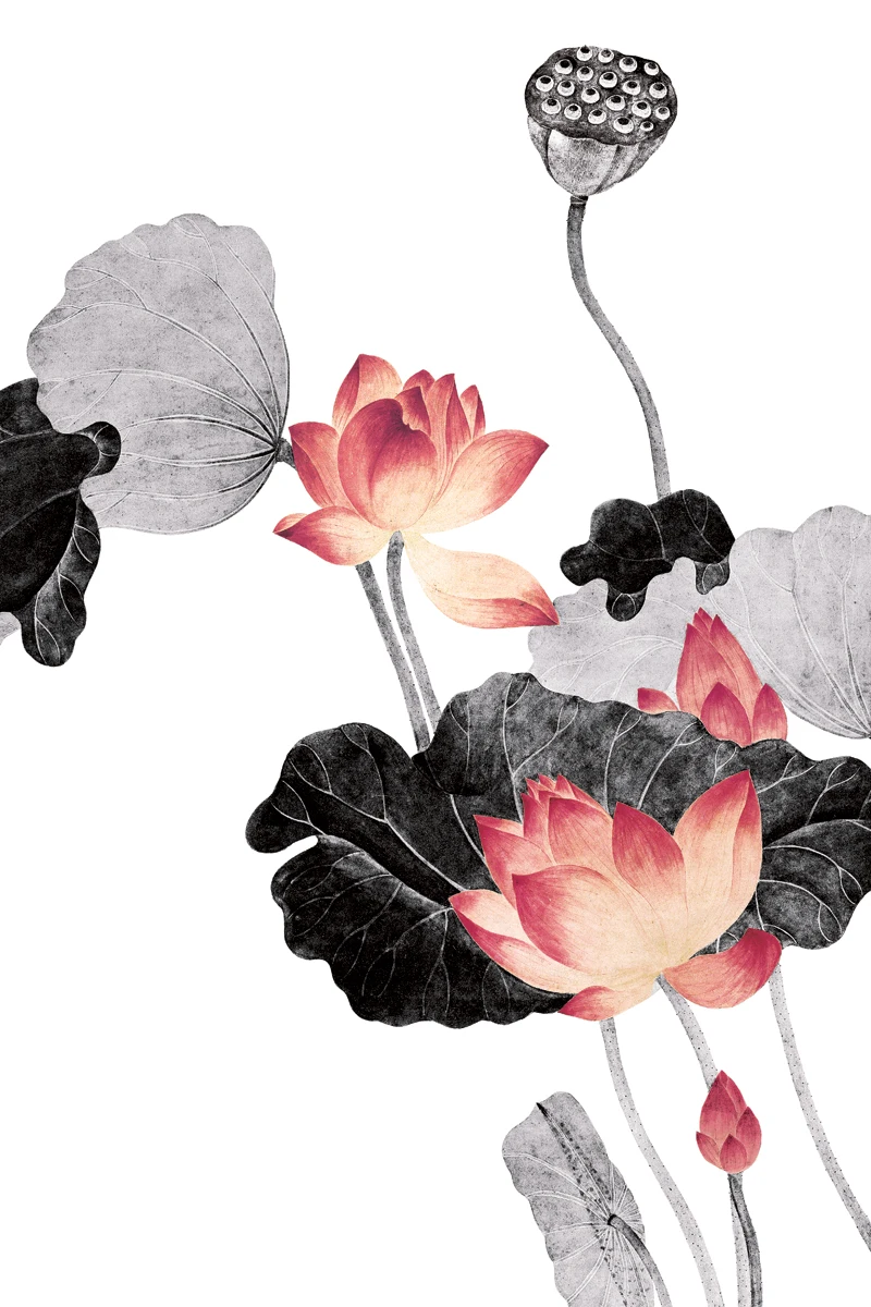 

traditional Chinese painting flowers picture painting vintage posters lotus flowers black and red pictures masterpiece