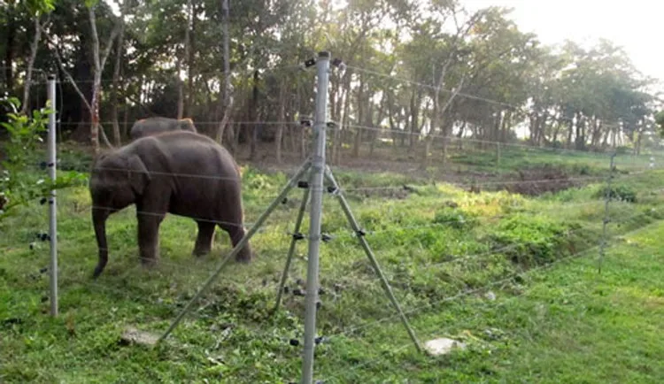 electric-fence-1
