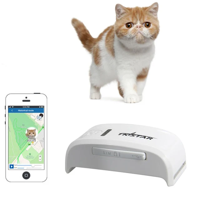 Mini GPS Dog Pet Tracker Device With Google map Free