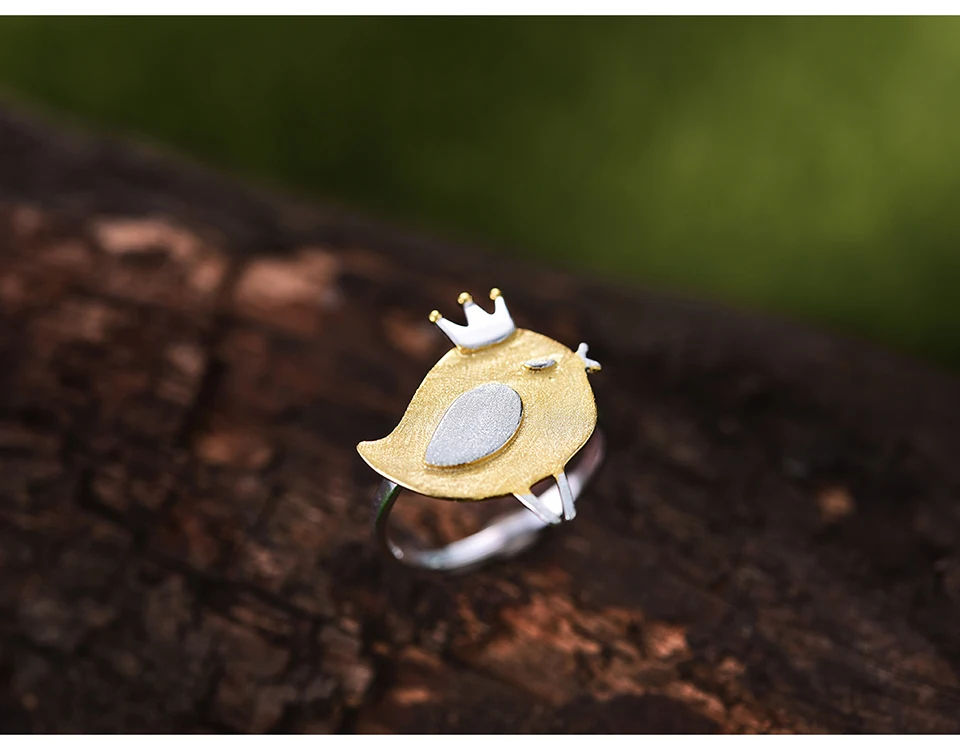LFJD0085-Lovely-Princess-Bird_11