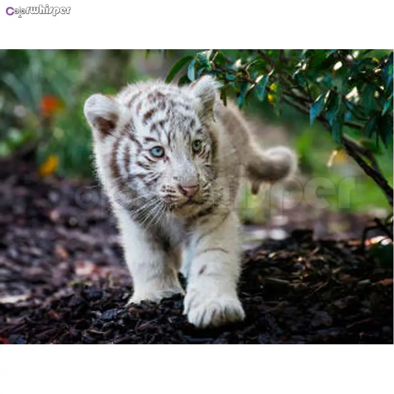 

Diamond Painting Full Square/Round Little White Tiger Walks In The Soil Trees 5D Daimond Painting Embroidery Mosaic Picture L020